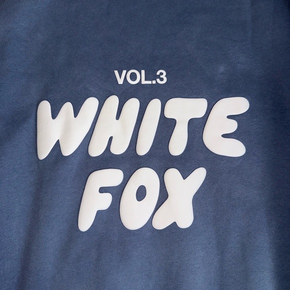 🌟NWOT🌟Blue White Fox Vol. 3 Hoodie Size S/M - Picture 2 of 5